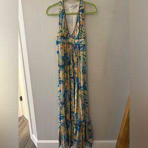 Anthropologie Corey Lynn Calter Silk Tank Maxi Dress size 6